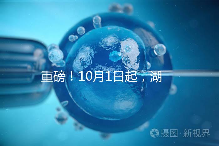重磅!10月1日起,湖南省試管嬰兒納入醫(yī)保報(bào)銷(附29家醫(yī)保定點(diǎn)醫(yī)院)